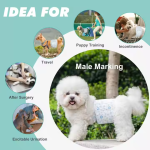 宠物训练裤工厂 - OEM批发超吸水母犬