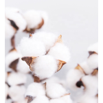 卫生巾厂家 - 一次性超薄棉高吸收经验丰富