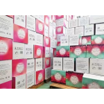 Sanitary Napkins Manufacturer - Wholesale Super Absorbent Breathable Anion Lady Pad