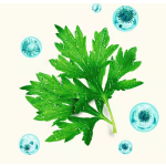 卫生巾厂家 - 一次性超薄棉高吸收经验丰富