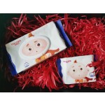 婴儿湿巾厂家 - 代工厂高品质环保一次性80片