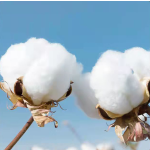 卫生巾厂家 - 批发代工棉负离子女性卫生护垫供应商