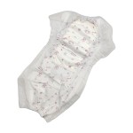 宠物尿裤厂家 - 环保一次性批发幼犬训练装备高吸收