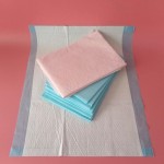 失禁垫工厂 - 2025Flyfix宠物泌尿女士训练