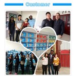 婴儿纸尿裤工厂 - 设计印花5码有机棉裤