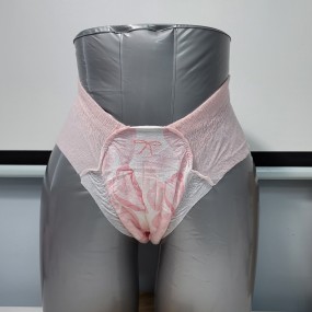 卫生巾机器供应商 - 自动香蕉纤维棉柔