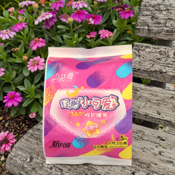 卫生裤厂家 - 高吸收容量异味控制保持清新一次性