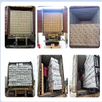 成人纸尿裤厂家 - 成人裤型尿裤似内裤卫生巾训练裤