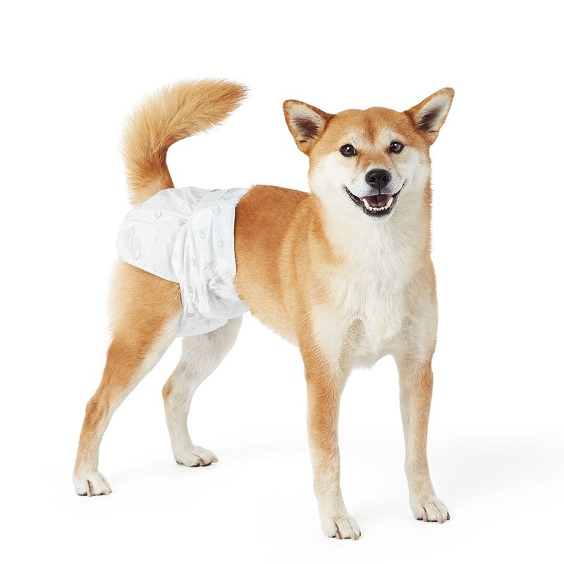 Pet Diapers Manufacturer - Disposable Dog Cat Nappy Male Female Quality PE Film Free Sample