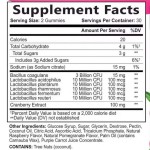 Private Label Vegan Cranberry Adult Probiotic Gummies for Women