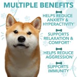 OEM Private Label Pet Calming Chewable Vitamins Treats for Dogs Anxiety Relief Cats Chews by Pet Health Care Supplements