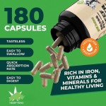 High Absorption New Zealand Grassfed Beef Liver Capsule Supplement Natural Vitamin B12 CoQ10 for Adults in Sports Nutrition