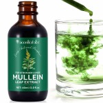 Acentiallabs 60ml Mullein Leaf Liquid Herbal Extract Drops for Adults