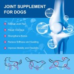 Probiotics Dog Vitamins with Glucosamine Chondroitin MSM Omega 3 Calcium Flea Tick Treatment Premium Pet Health Care Supplements