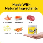 OEM Multivitamin Soft Chew Nutrition Supplements for Dogs Cats 10 1 Dog Multivitamin Glucosamine Immune Vitamins Pet Health Care