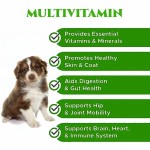 OEM Multivitamin Softchews Probiotic Chews for Cats Dogs Promotes Digestive Gut Health Treatment Pet Health Care & Supplements