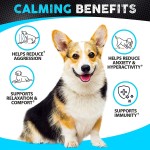 OEM Royalsun Softchews for Dogs Calming Anti-Anxiety Probiotic Pain Relief Chewy Tablets Pet Health Care Supplements