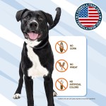 OEM Private Label Probiotic Anti-Anxiety Chews Pet Calming Tablets for Dogs and Cats Pet Health Care & Supplements