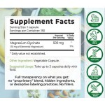 Beton Supply 4-in-1 Complex Capsules Pure Bulk Food Grade Glycine Magnesium 400mg 500mg Halal Powder Supplement for Adults