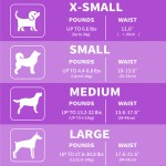 湿巾厂家 - 私模一次性水激活敏感肌家用婴儿