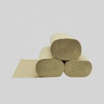 纸巾厂家 - FSC环保亲肤卫生天然水溶可冲散