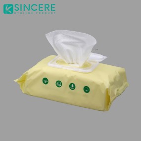 Wet Wipes Manufacturer - 100% Biodegradable Flushable OEM Biodegradable Disposable Flushable for Baby