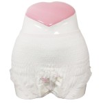 Sanitary Pants Manufacturer - Chinese Brand Women Menstrual Pads China