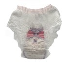 生理裤生产商 - 超吸水负离子片夜用垫