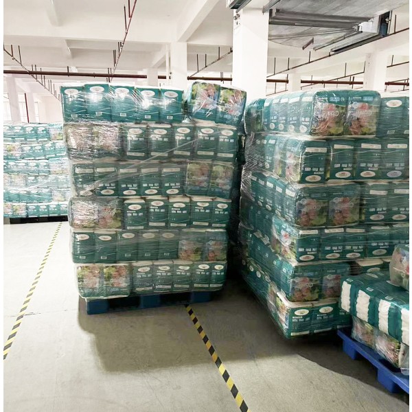 成人拉拉裤工厂 - 批发高吸水老年一次性