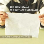 女性湿巾厂家 - 天然植物提取温和女性湿巾代工