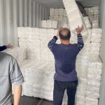 婴儿裤式纸尿裤工厂 - 中国超薄拉拉裤免费样品新生