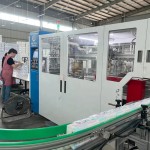 面巾纸供应商 - 家用定制压花实惠批量未漂白柔软