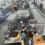 成人纸尿裤工厂 - 免费样品老年人加厚一次性