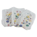 婴儿裤式纸尿裤生产商 - 批发实惠新生高吸水私模