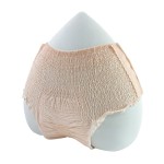 卫生巾裤生产商 - 低价女士日用定制超柔软