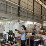 卫生纸生产商 - 100%原生木浆批发柔软优质私模