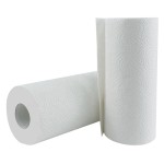 厨房纸巾供应商 - 实惠价压花高水油吸收2层