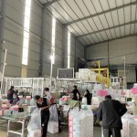 成人纸尿裤供应商 - 免费样品批量批发大码超吸水