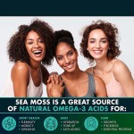 OEM Factories Offer Immunity Vegan Pills Supplement Organic Seamoss Capsules Natural Private Label Healthcare Supplement
