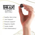 OEM Private Label 600mg Organic Shilajit Supplements Himalayan Resin Gummies with Black Seed Oil Natural for Adults