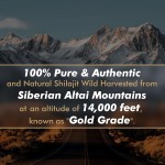 Natures Balance Shilajit Resin Health Dietary Supplement for Adults Private Label Beauty Product Not for Children