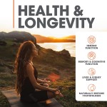 Private Label Organic Reishi and Mane Mushroom Capsules Vegan Immune System Booster Nootropic Brain Supplement