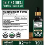 Organic Vegan Chlorophyll Drops Herbal Supplements in Oral Liquid Dosage for Adults but Not for Pregnant Women