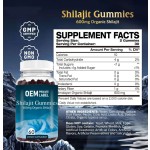 OEM Private Label 600mg Organic Shilajit Supplements Himalayan Resin Gummies with Black Seed Oil Natural for Adults