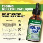 Nature's Answer Herbal Supplement Mullein Leaf Supports Healthy Respiratory Function