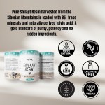 OEM/ODM Pure Himalayan Shilajit Resin Supplements with Minerals Fulvic Acid Organic Private Label Lotion Antioxidant Function