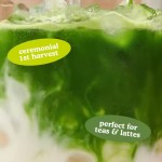 2024 Hot Selling High Quality Matcha Herbal Supplement Powder Custom Logo Health Product for Adult Weight Reduction