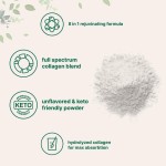 OEM 454G Collagen Protein Powder Easy-to-Dissolve Beauty Supplement with Vitamin C Non-Genetically Modified for Men and Women