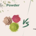 ODM Organic Lion's Mane Powder Brain Function & Immunity Support Energy Fueled for Adults Not for Pregnant Women