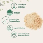 ODM Organic Lion's Mane Powder Brain Function & Immunity Support Energy Fueled for Adults Not for Pregnant Women